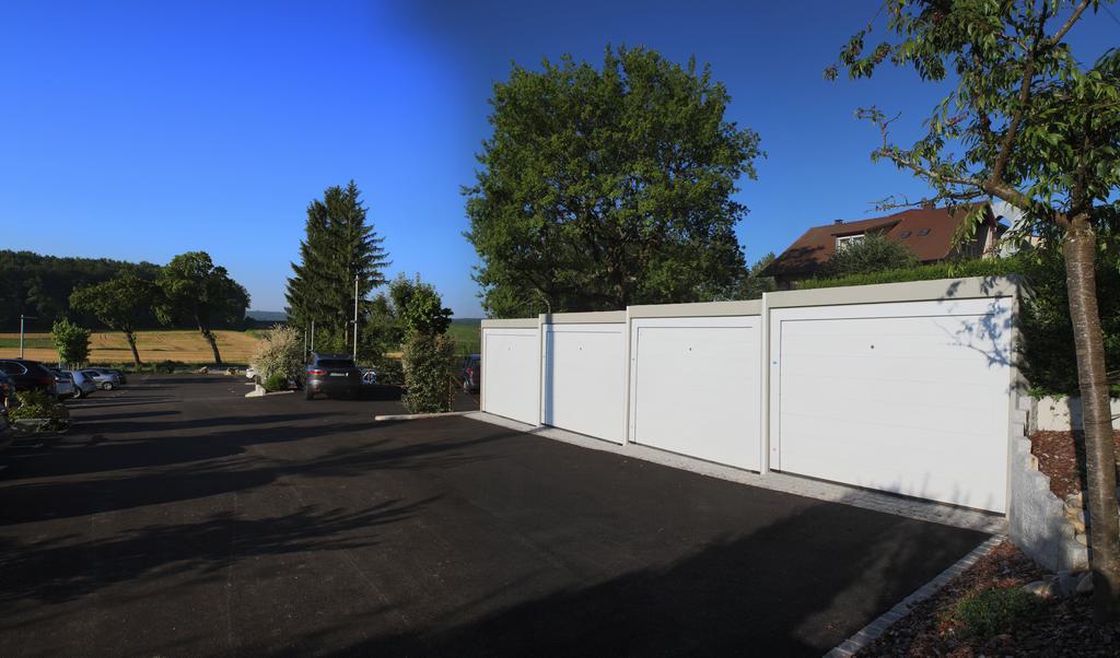 Auberge Sundgovienne Carspach Екстер'єр фото
